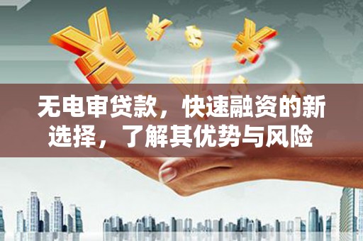 武陵无电审贷款，快速融资的新选择，了解其优势与风险