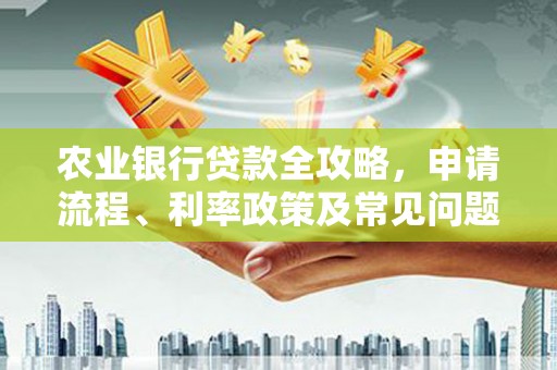 武陵农业银行贷款全攻略，申请流程、利率政策及常见问题解析