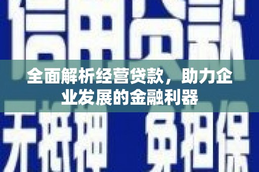武陵全面解析经营贷款，助力企业发展的金融利器