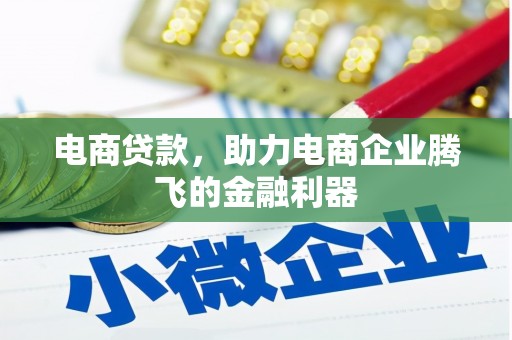 武陵电商贷款，助力电商企业腾飞的金融利器