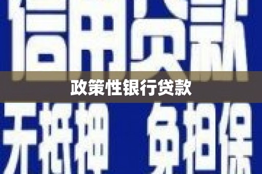 武陵政策性银行贷款