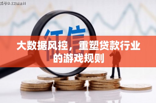 武陵大数据风控，重塑贷款行业的游戏规则