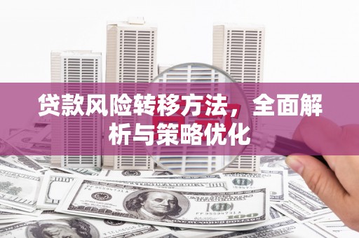 武陵贷款风险转移方法，全面解析与策略优化