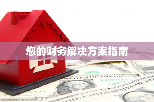 武陵您的财务解决方案指南