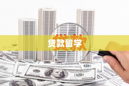 武陵贷款留学