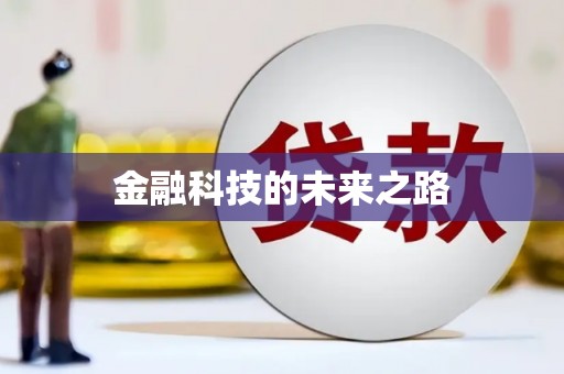 武陵金融科技的未来之路