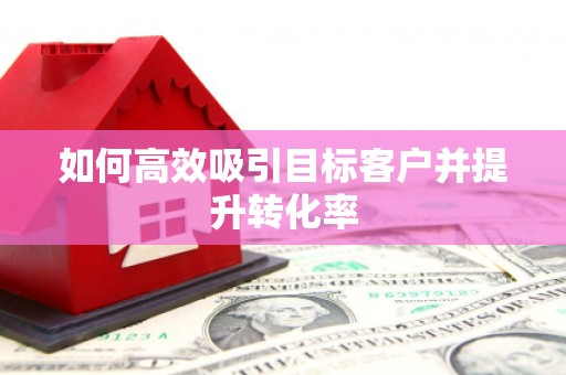 武陵如何高效吸引目标客户并提升转化率