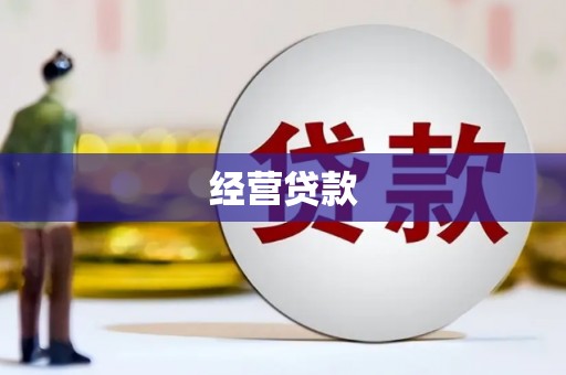 武陵经营贷款