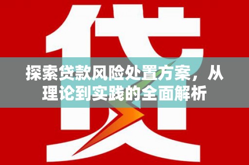 武陵探索贷款风险处置方案，从理论到实践的全面解析