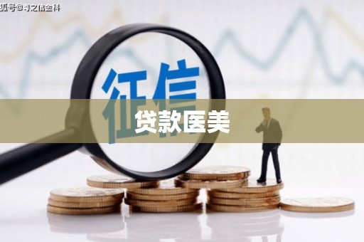 武陵贷款医美