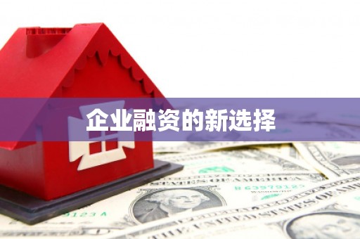 武陵企业融资的新选择