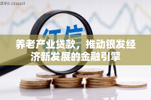 武陵养老产业贷款，推动银发经济新发展的金融引擎