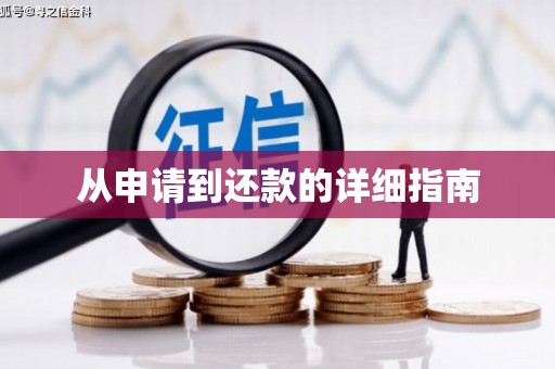 武陵从申请到还款的详细指南