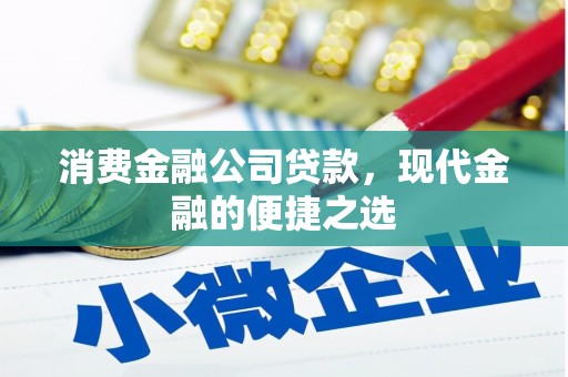 武陵消费金融公司贷款，现代金融的便捷之选