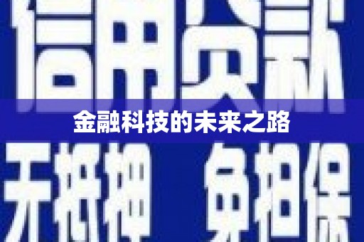 武陵金融科技的未来之路