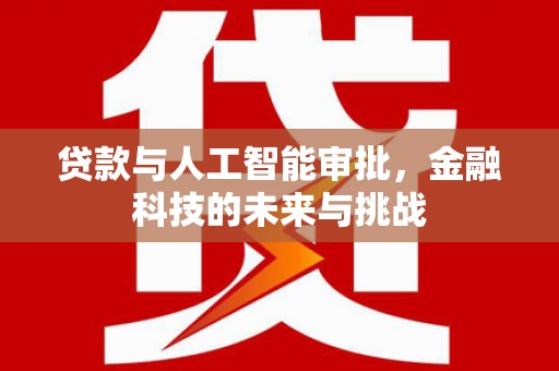 武陵贷款与人工智能审批，金融科技的未来与挑战