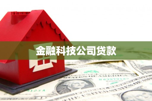 武陵金融科技公司贷款