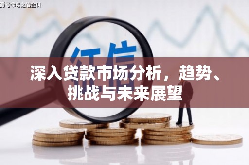 武陵深入贷款市场分析，趋势、挑战与未来展望
