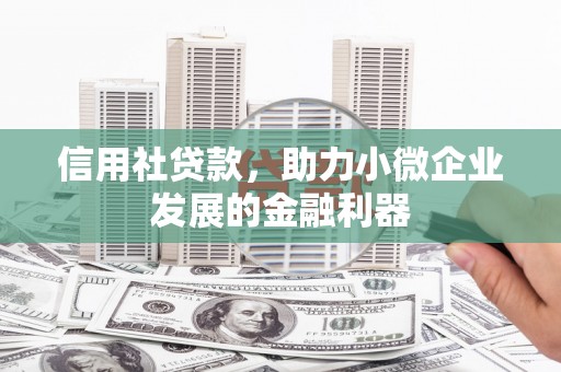武陵信用社贷款，助力小微企业发展的金融利器