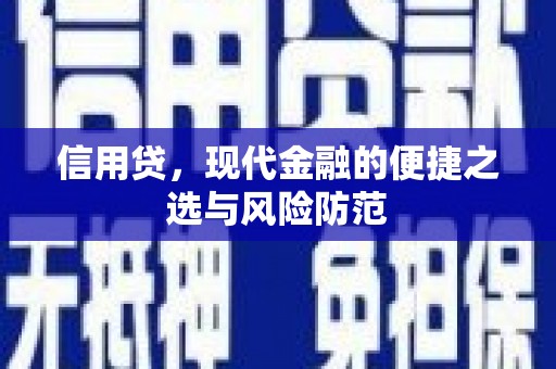 武陵信用贷，现代金融的便捷之选与风险防范