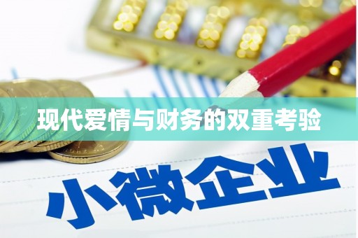 武陵现代爱情与财务的双重考验