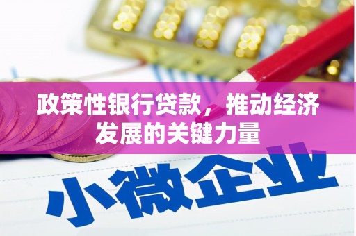 武陵政策性银行贷款，推动经济发展的关键力量