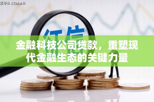 武陵金融科技公司贷款，重塑现代金融生态的关键力量
