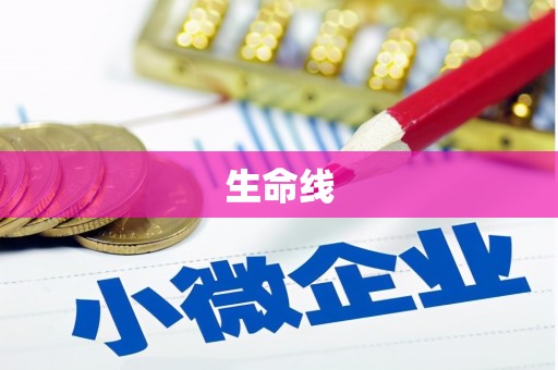 武陵生命线