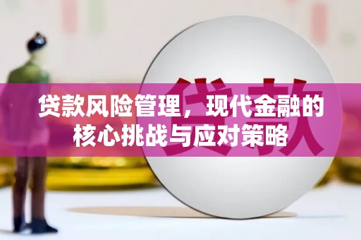 武陵贷款风险管理，现代金融的核心挑战与应对策略