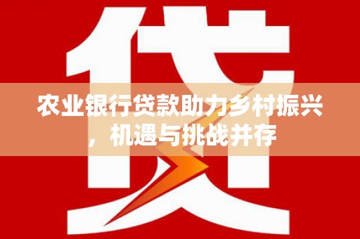 武陵农业银行贷款助力乡村振兴，机遇与挑战并存