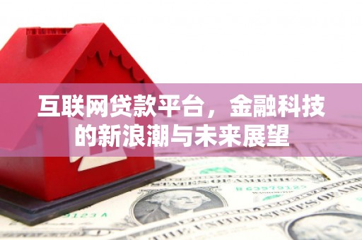 武陵互联网贷款平台，金融科技的新浪潮与未来展望