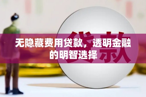 武陵无隐藏费用贷款，透明金融的明智选择