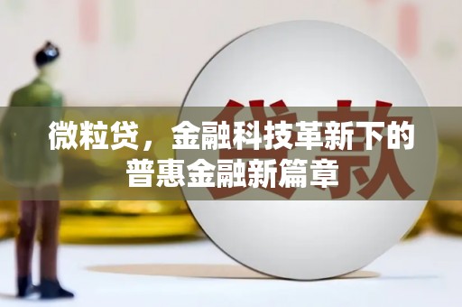 武陵微粒贷，金融科技革新下的普惠金融新篇章