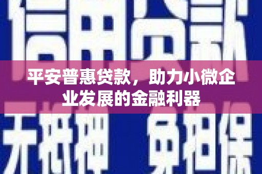 武陵平安普惠贷款，助力小微企业发展的金融利器
