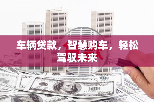 武陵车辆贷款，智慧购车，轻松驾驭未来