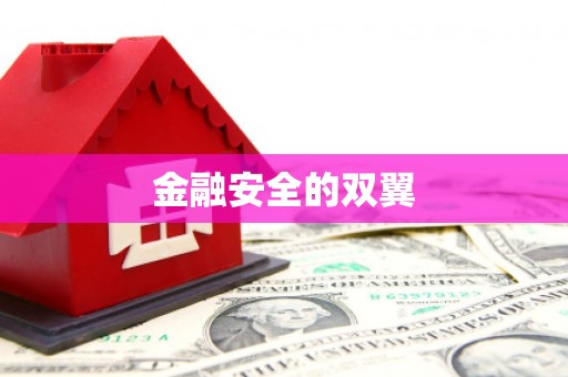 武陵金融安全的双翼