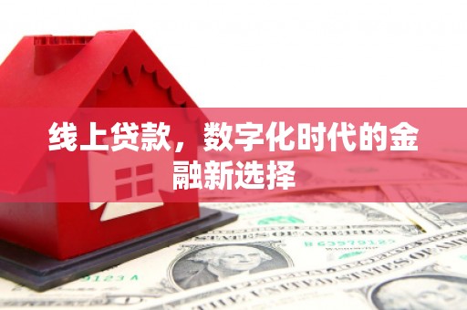 武陵线上贷款，数字化时代的金融新选择