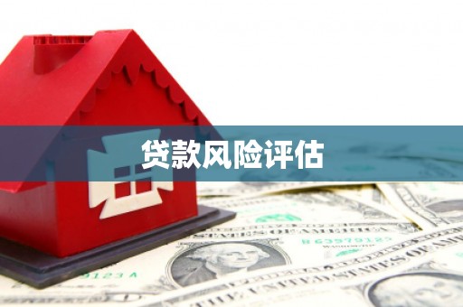 武陵贷款风险评估