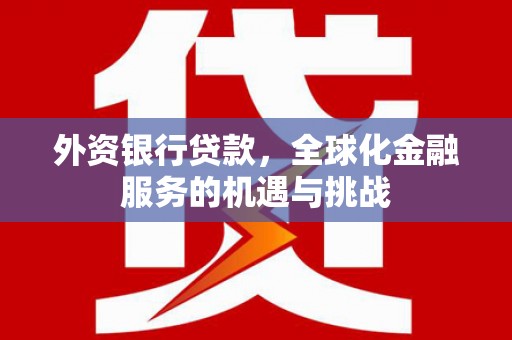 武陵外资银行贷款，全球化金融服务的机遇与挑战