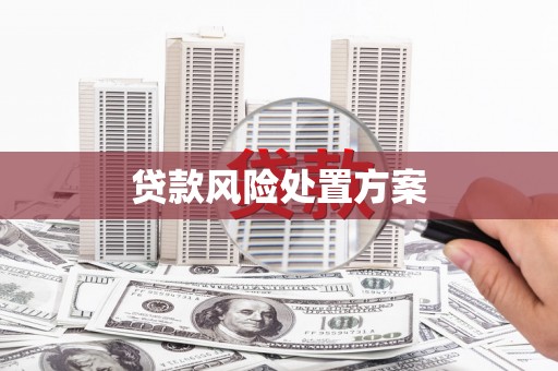 武陵贷款风险处置方案