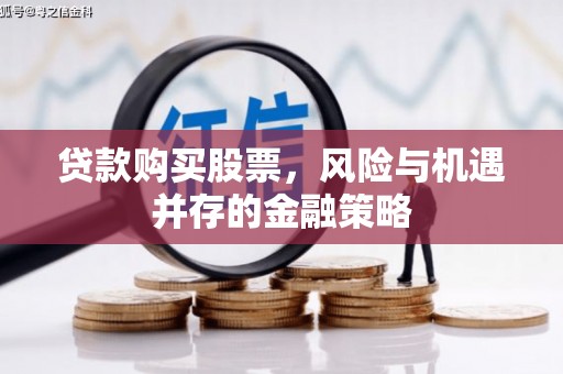 武陵贷款购买股票，风险与机遇并存的金融策略