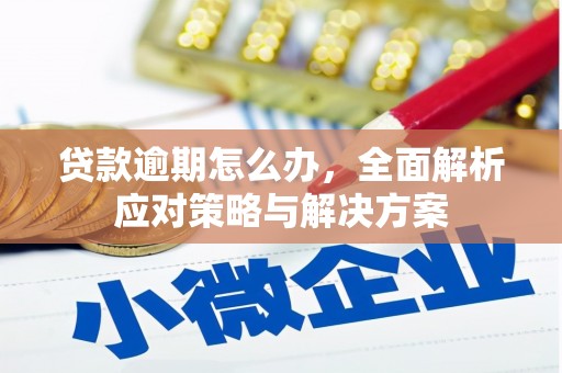 武陵贷款逾期怎么办，全面解析应对策略与解决方案
