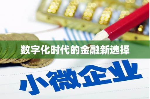 武陵数字化时代的金融新选择