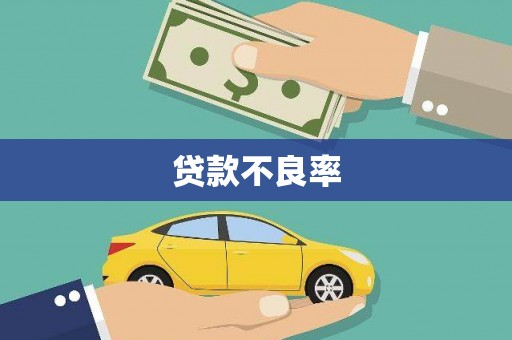 武陵贷款不良率