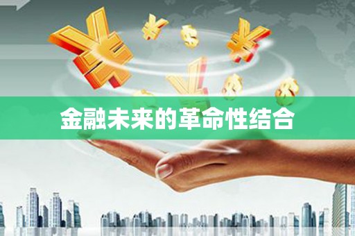 武陵金融未来的革命性结合