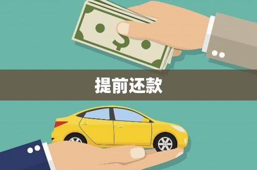 武陵提前还款